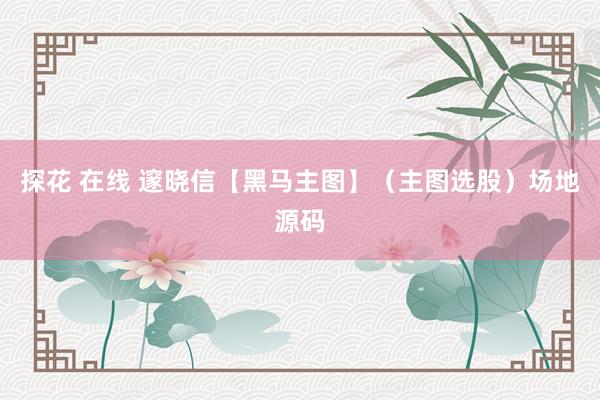 探花 在线 邃晓信【黑马主图】（主图选股）场地源码