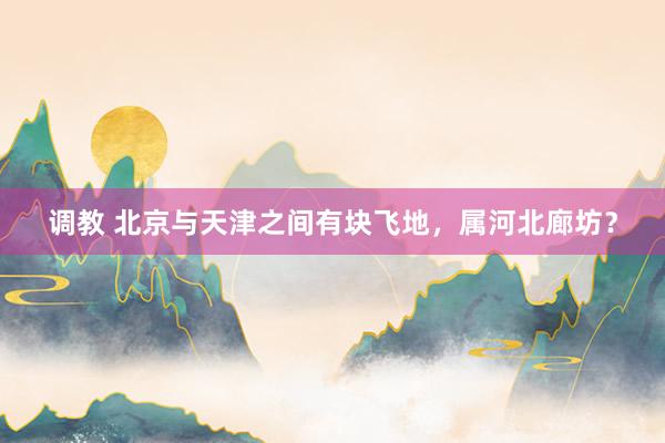 调教 北京与天津之间有块飞地，属河北廊坊？