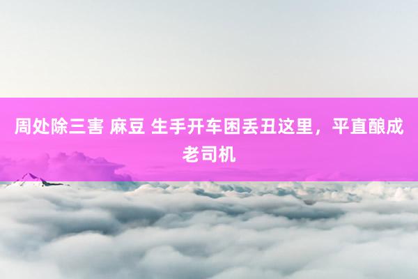 周处除三害 麻豆 生手开车困丢丑这里，平直酿成老司机