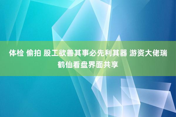 体检 偷拍 股工欲善其事必先利其器 游资大佬瑞鹤仙看盘界面共享