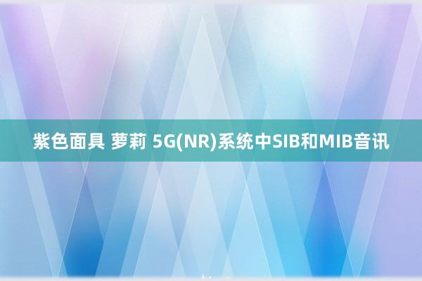 紫色面具 萝莉 5G(NR)系统中SIB和MIB音讯